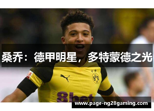 桑乔：德甲明星，多特蒙德之光
