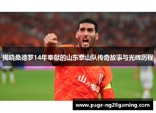 揭晓桑德罗14年奉献的山东泰山队传奇故事与光辉历程