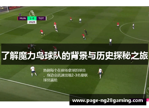了解魔力鸟球队的背景与历史探秘之旅