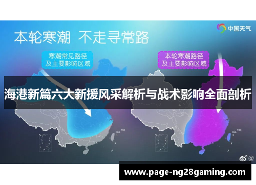 海港新篇六大新援风采解析与战术影响全面剖析