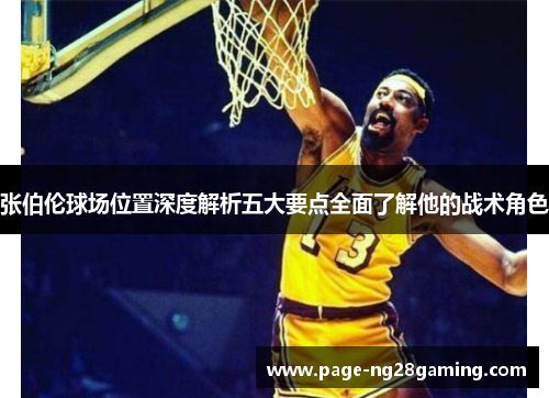 张伯伦球场位置深度解析五大要点全面了解他的战术角色