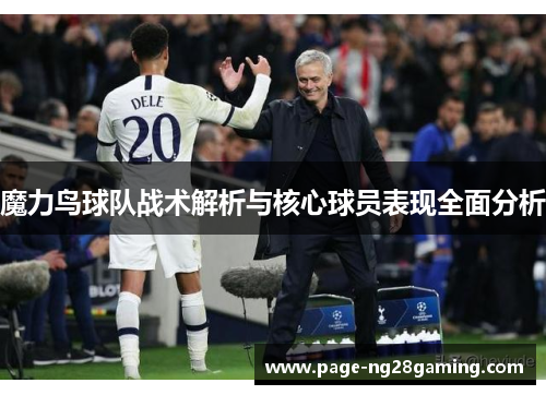 魔力鸟球队战术解析与核心球员表现全面分析
