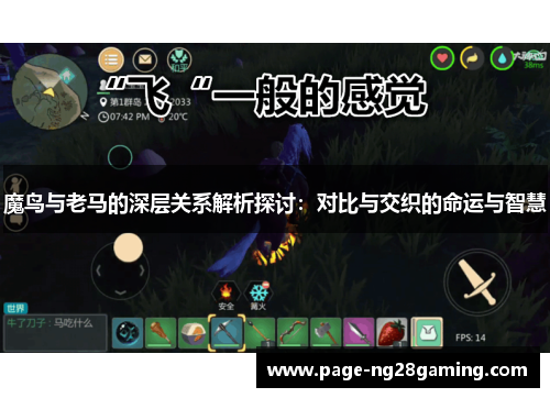 魔鸟与老马的深层关系解析探讨：对比与交织的命运与智慧