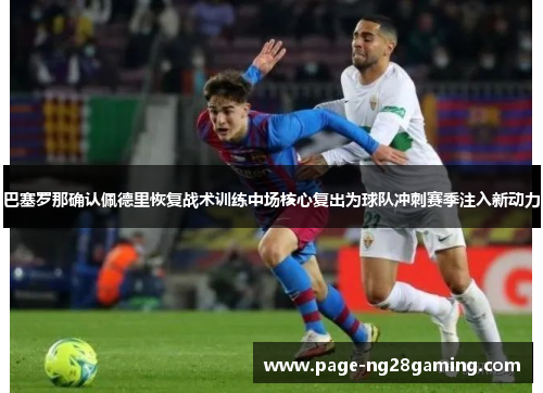 巴塞罗那确认佩德里恢复战术训练中场核心复出为球队冲刺赛季注入新动力 巴塞罗那确认佩德里恢复战术训练中场核心复出为球队冲刺赛季注入新动力