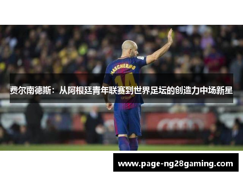 费尔南德斯：从阿根廷青年联赛到世界足坛的创造力中场新星